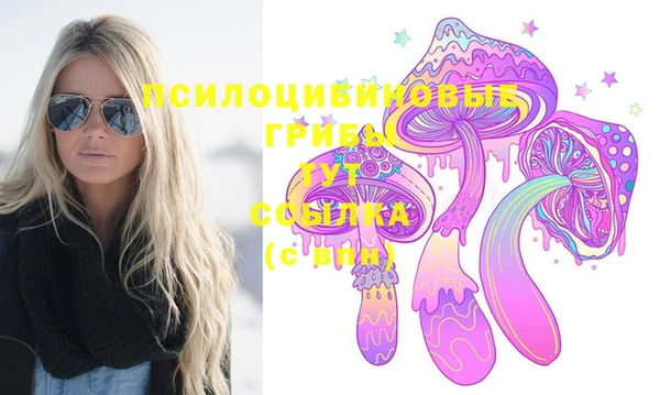 spice Балахна