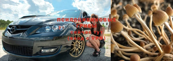 кокаин колумбия Баксан