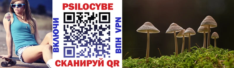 OMG зеркало  Новохопёрск  Псилоцибиновые грибы мицелий 